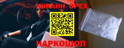 спиды Гатчина