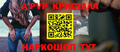 спиды Гатчина