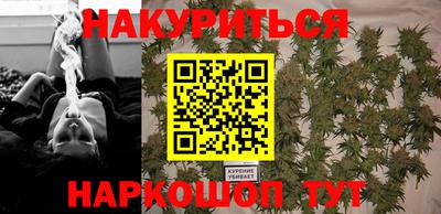 спиды Гатчина