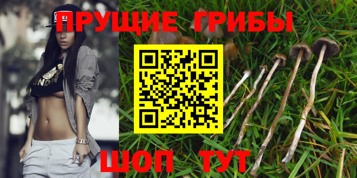 Галлюциногенные грибы мухоморы Нефтекамск